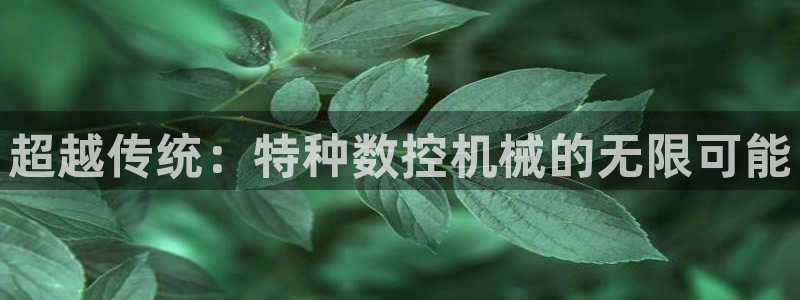 天辰娱乐分红