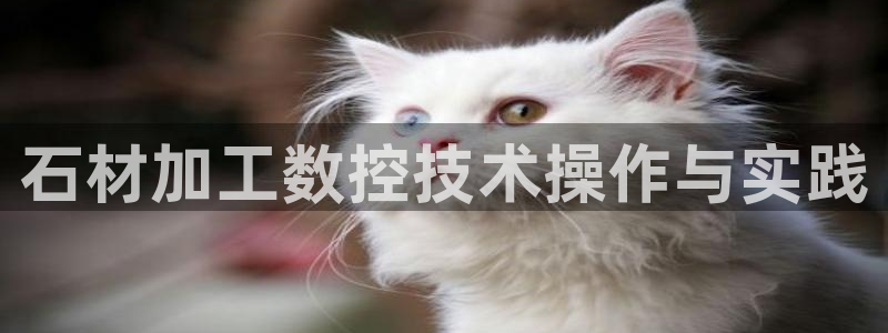 天辰娱乐481928