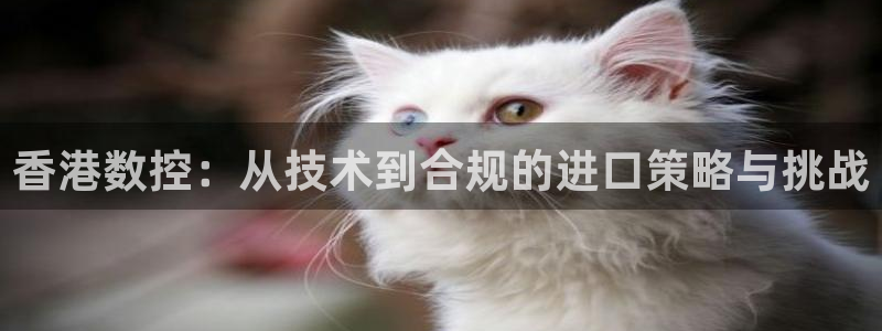 天辰娱乐1996