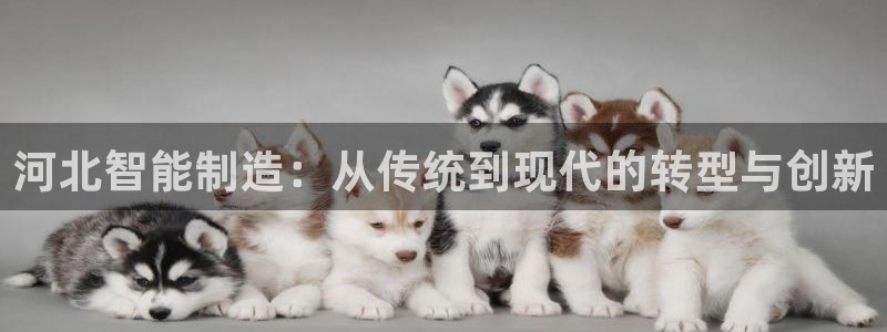 菲律宾天辰娱乐