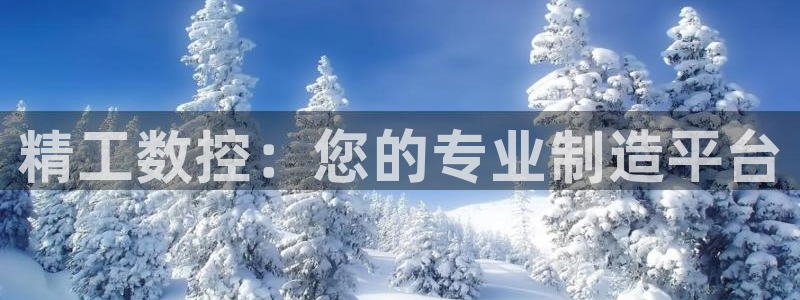 天辰娱乐分红