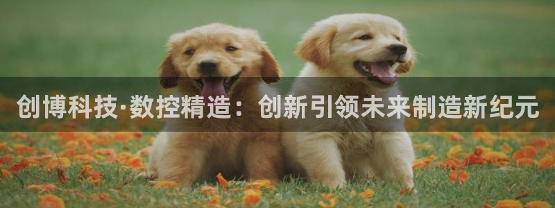 天辰娱乐1996