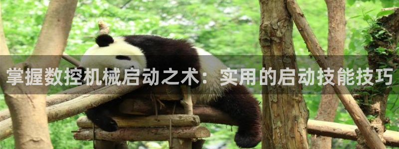 天辰娱乐APP下载