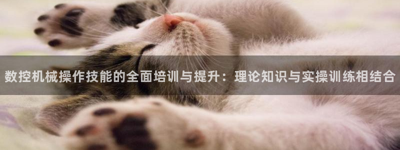 天辰娱乐跑的快:数控机械操作技能的全面培训与提升:理论知识与实操训练相结合