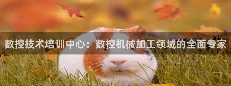 南充天辰娱乐