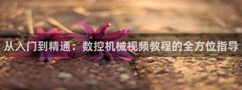 nba天辰娱乐