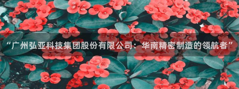 天辰娱乐557696:“广州弘亚科技集团股份有限公司:华南精密制造的领航者”