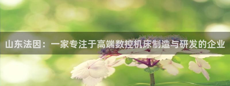 天辰娱乐平台登录账号:山东法因:一家专注于高端数控机床制造与研发的企业