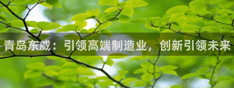 天辰娱乐 39974