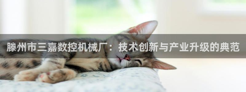 天辰娱乐主管：滕州市三嘉数控机械厂：技术创新与产业升级的典范