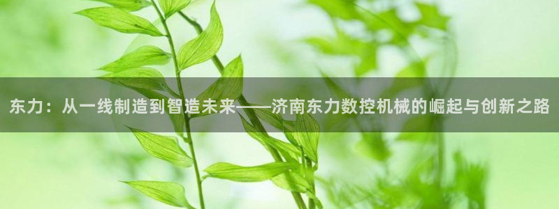 天辰娱乐服务:东力:从一线制造到智造未来——济南东力数控机械的崛起与创新之路