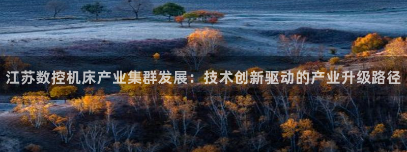 天辰娱乐网址娱乐游戏:江苏数控机床产业集群发展:技术创新驱动的产业升级路径