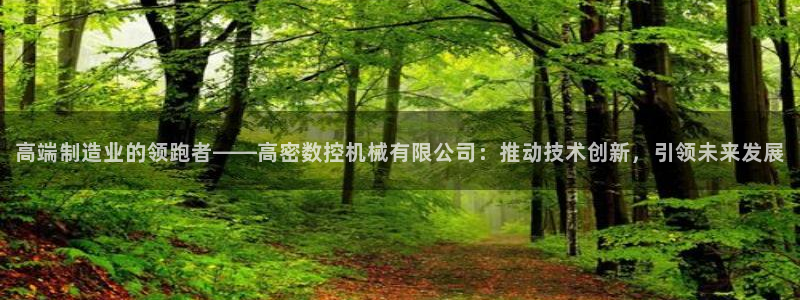 天辰娱乐 44516：高端制造业的领跑者——高密数控机械有限公司：推动技术创新，引领未来发展