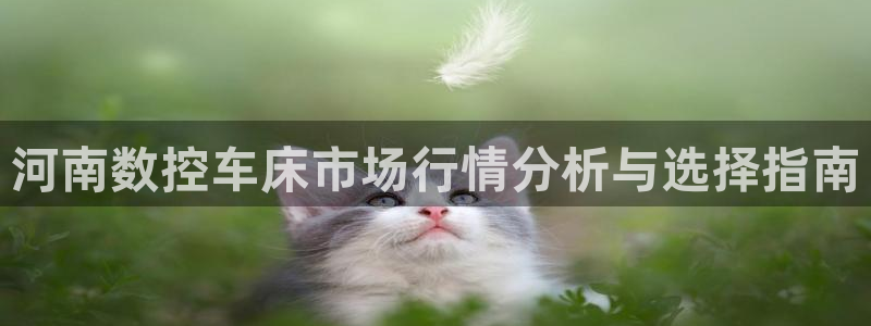 天辰娱乐登录网址