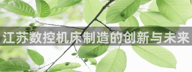 天辰娱乐平台入口:江苏数控机床制造的创新与未来